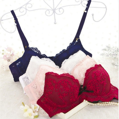 Lace Underwear Bra Sets & Briefs