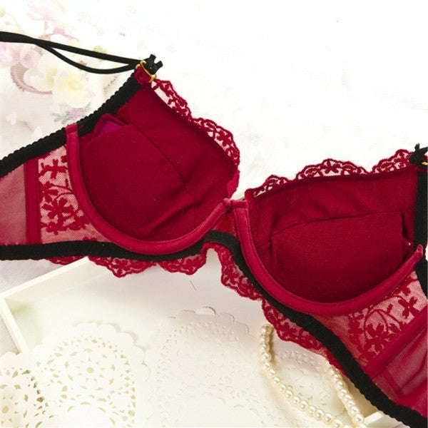 Lace Underwear Bra Sets & Briefs